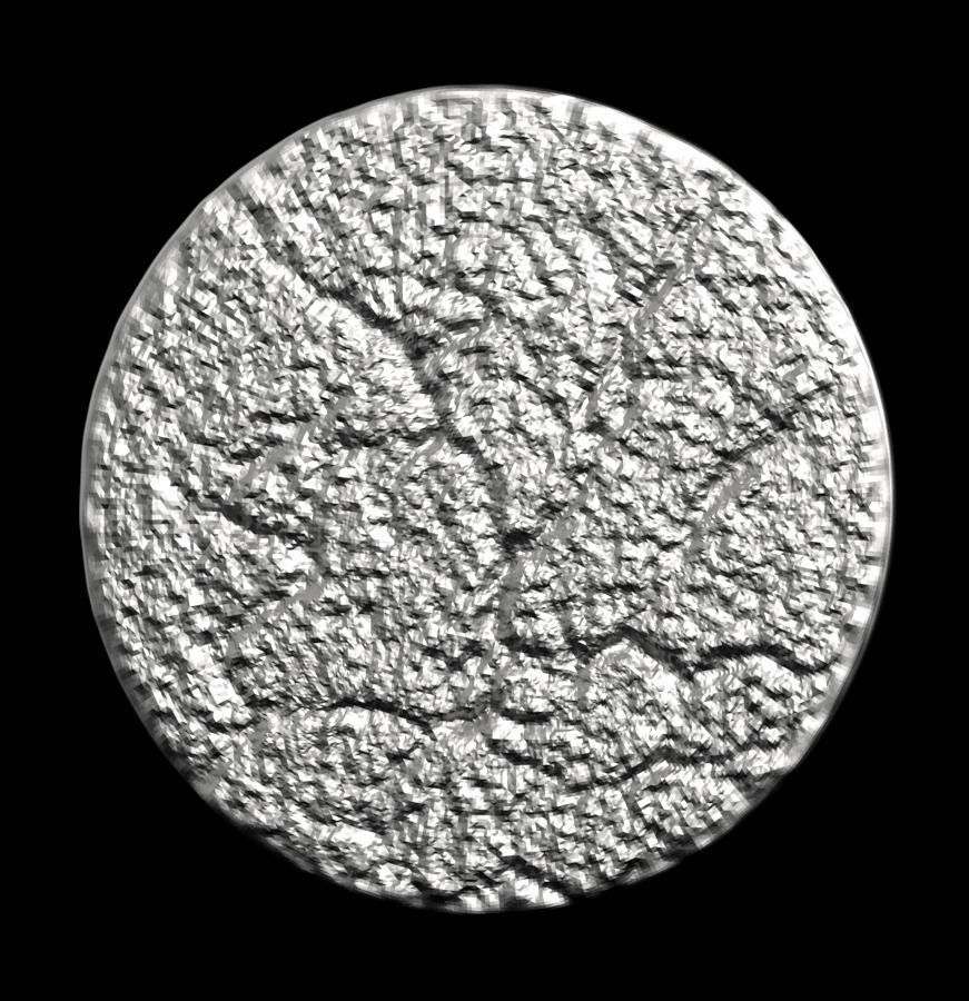 Chinese Zodiac Rooster 003 3D print model_33