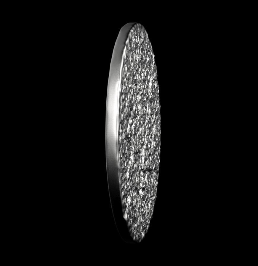 Chinese Zodiac Rooster 003 3D print model_18