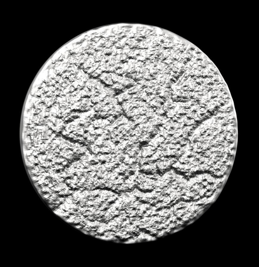 Chinese Zodiac Rooster 003 3D print model_29