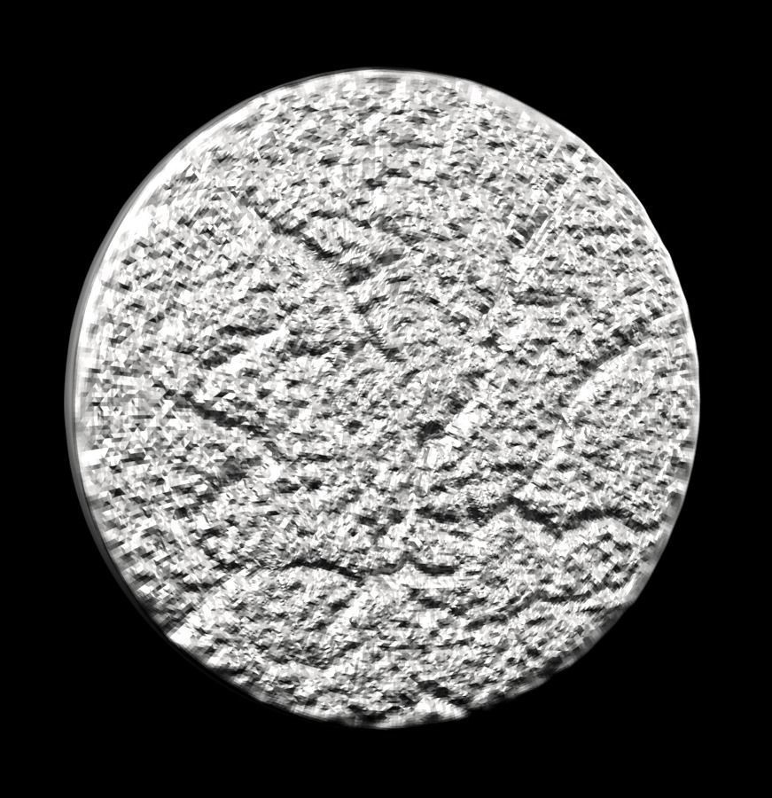 Chinese Zodiac Rooster 003 3D print model_28