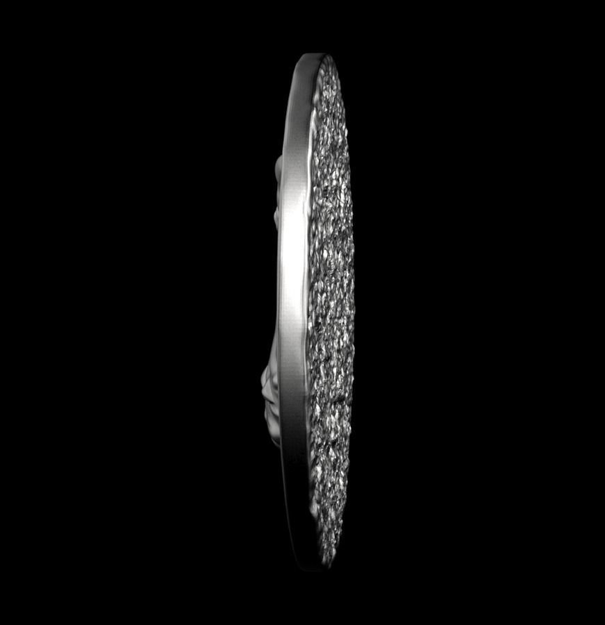 Chinese Zodiac Rooster 003 3D print model_17