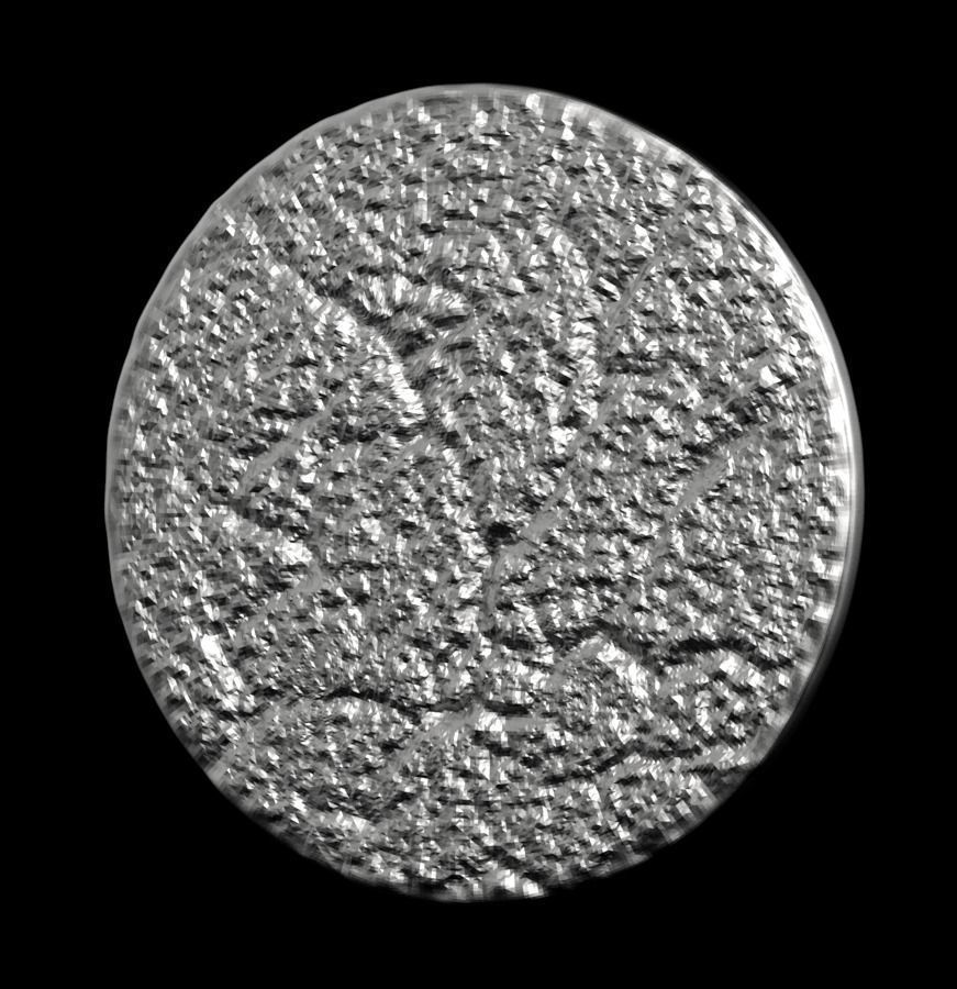 Chinese Zodiac Rooster 003 3D print model_35