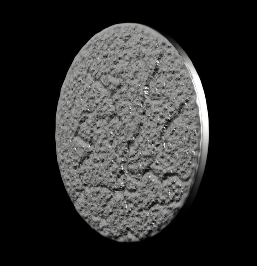 Chinese Zodiac Rat 003 3D print model_39