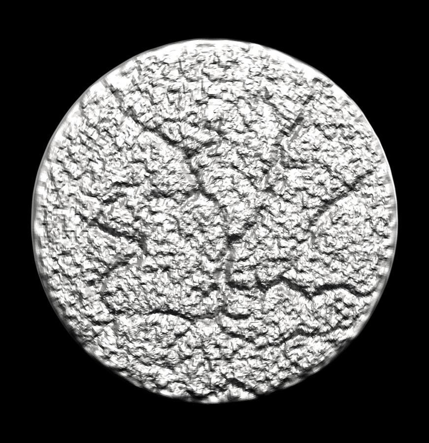 Chinese Zodiac Rat 003 3D print model_31