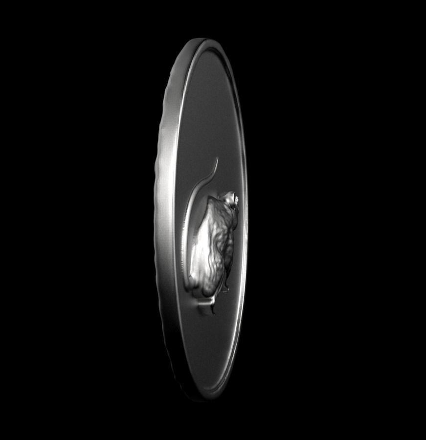 Chinese Zodiac Rat 003 3D print model_48