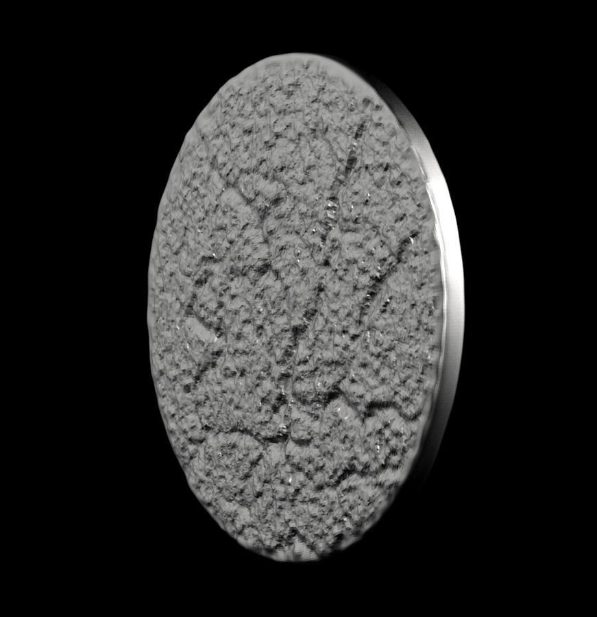 Chinese Zodiac Rat 003 3D print model_40