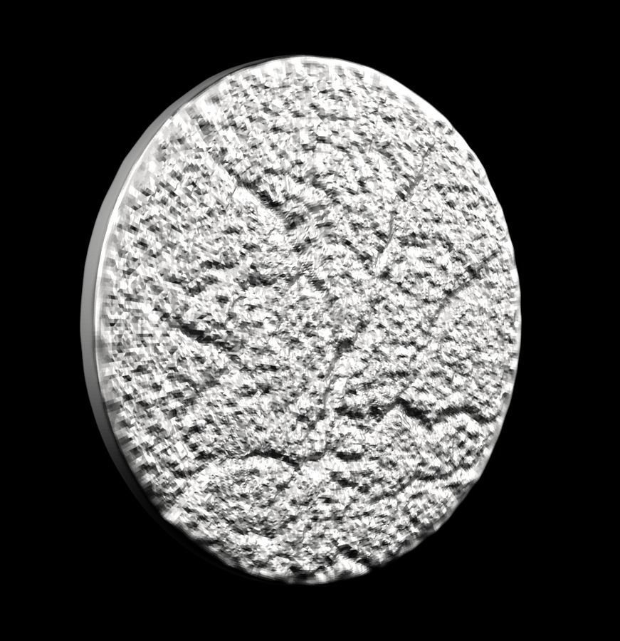 Chinese Zodiac Rat 003 3D print model_25