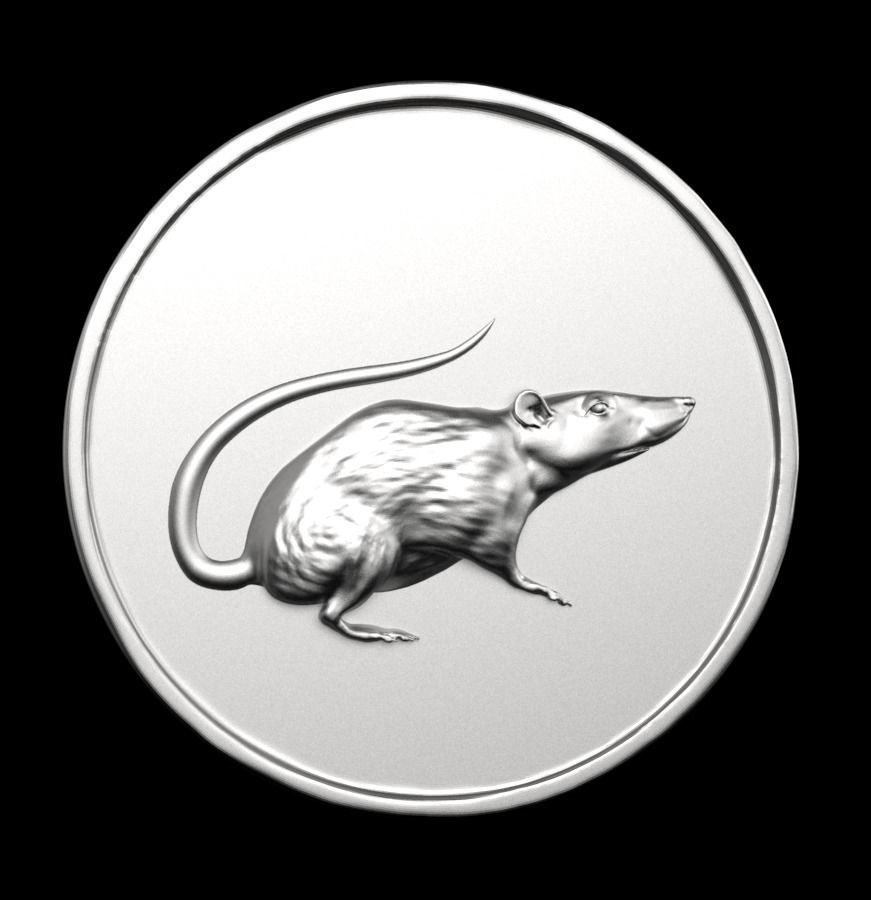 Chinese Zodiac Rat 003 3D print model_60