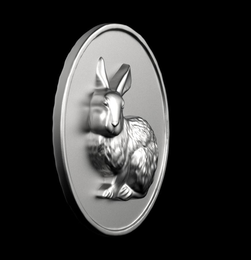 Chinese Zodiac Rabbit 003 3D print model_53