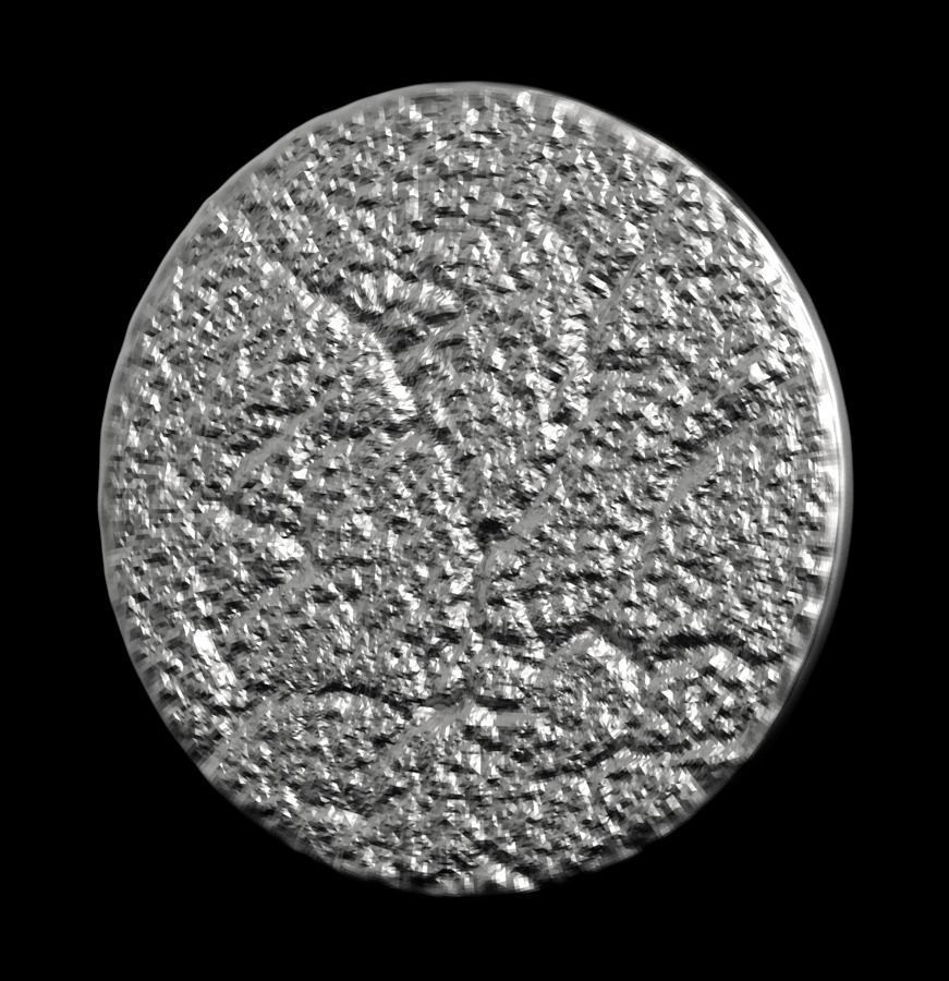 Chinese Zodiac Rabbit 003 3D print model_37