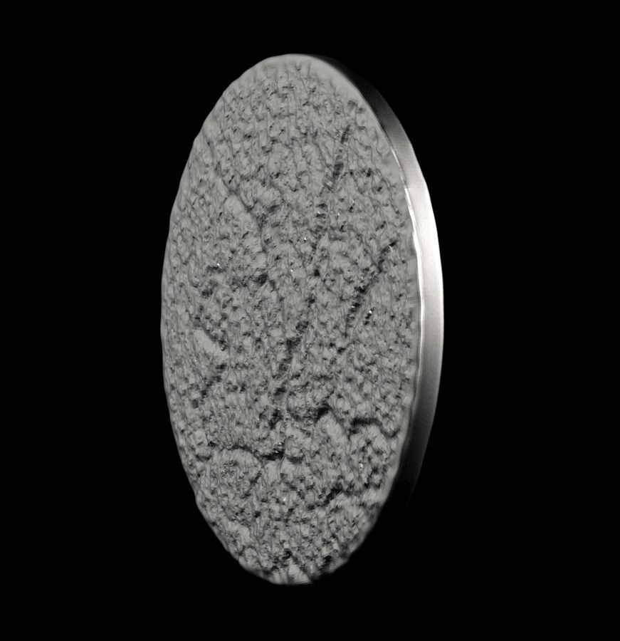 Chinese Zodiac Rabbit 003 3D print model_43