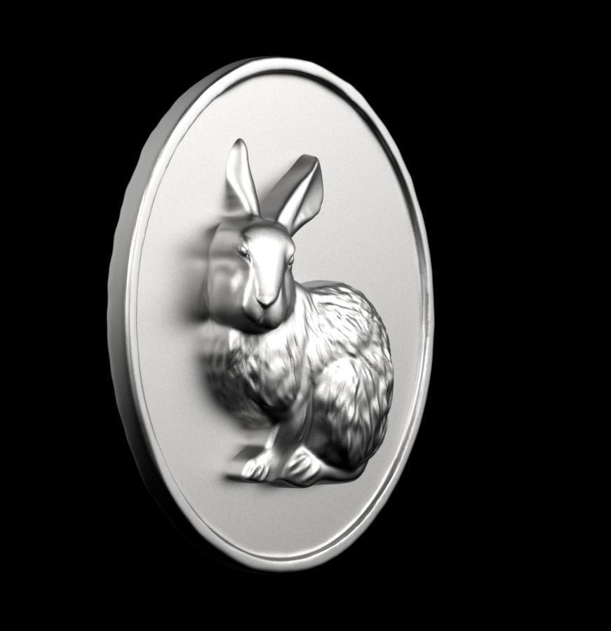 Chinese Zodiac Rabbit 003 3D print model_54