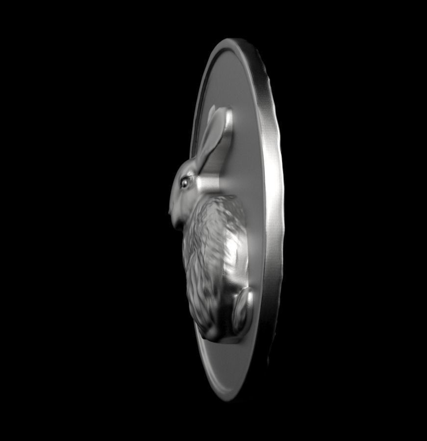 Chinese Zodiac Rabbit 003 3D print model_14