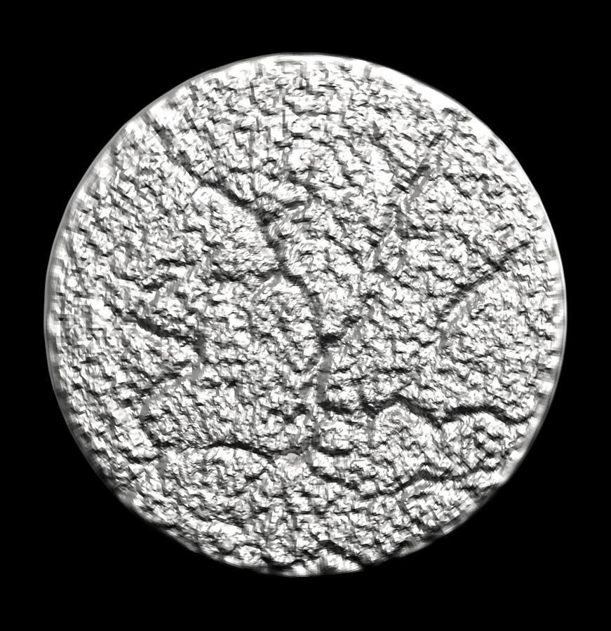 Chinese Zodiac Rabbit 003 3D print model_34