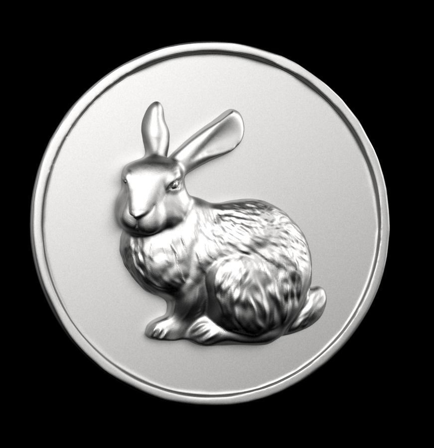 Chinese Zodiac Rabbit 003 3D print model_61