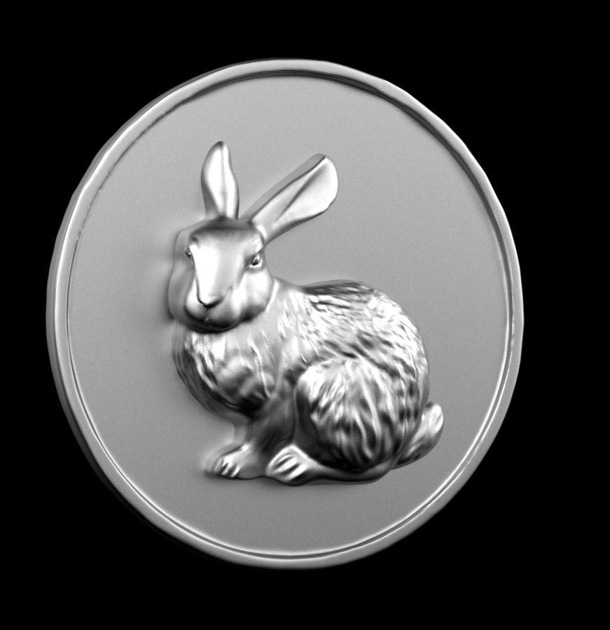 Chinese Zodiac Rabbit 003 3D print model_59