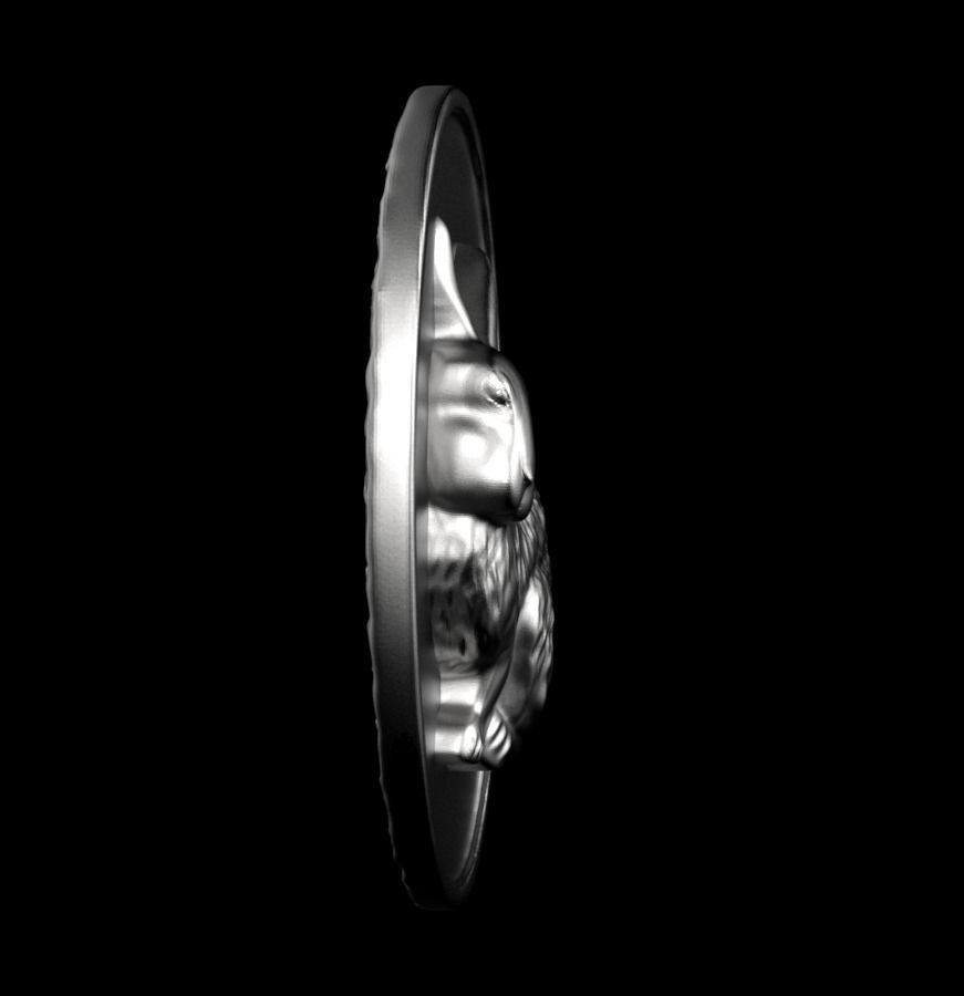 Chinese Zodiac Rabbit 003 3D print model_49