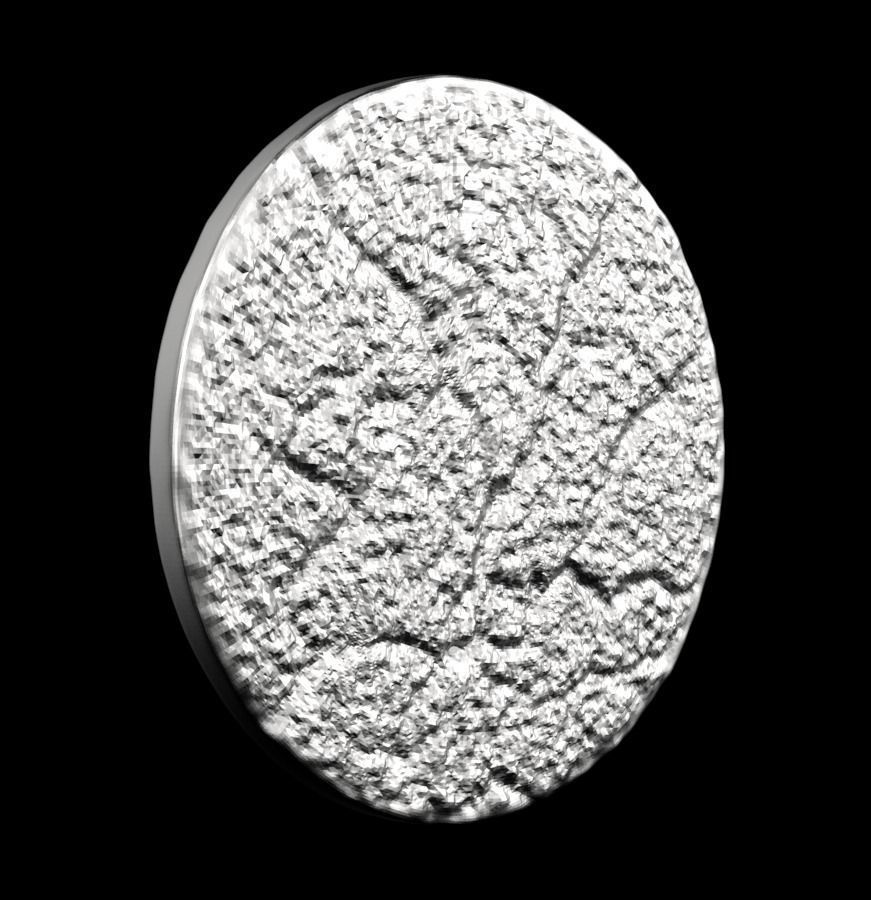 Chinese Zodiac Rabbit 003 3D print model_26