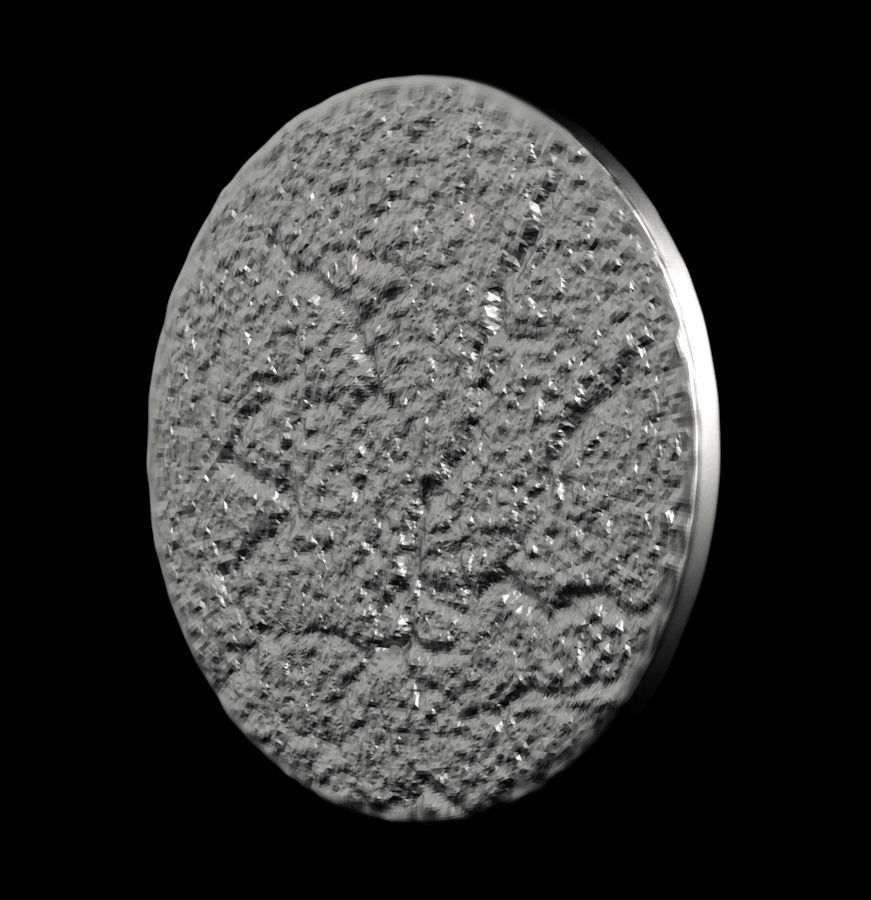 Chinese Zodiac Rabbit 003 3D print model_40