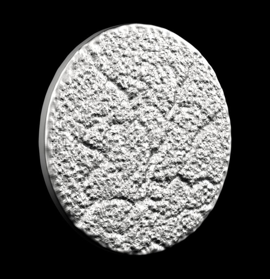 Chinese Zodiac Rabbit 003 3D print model_27