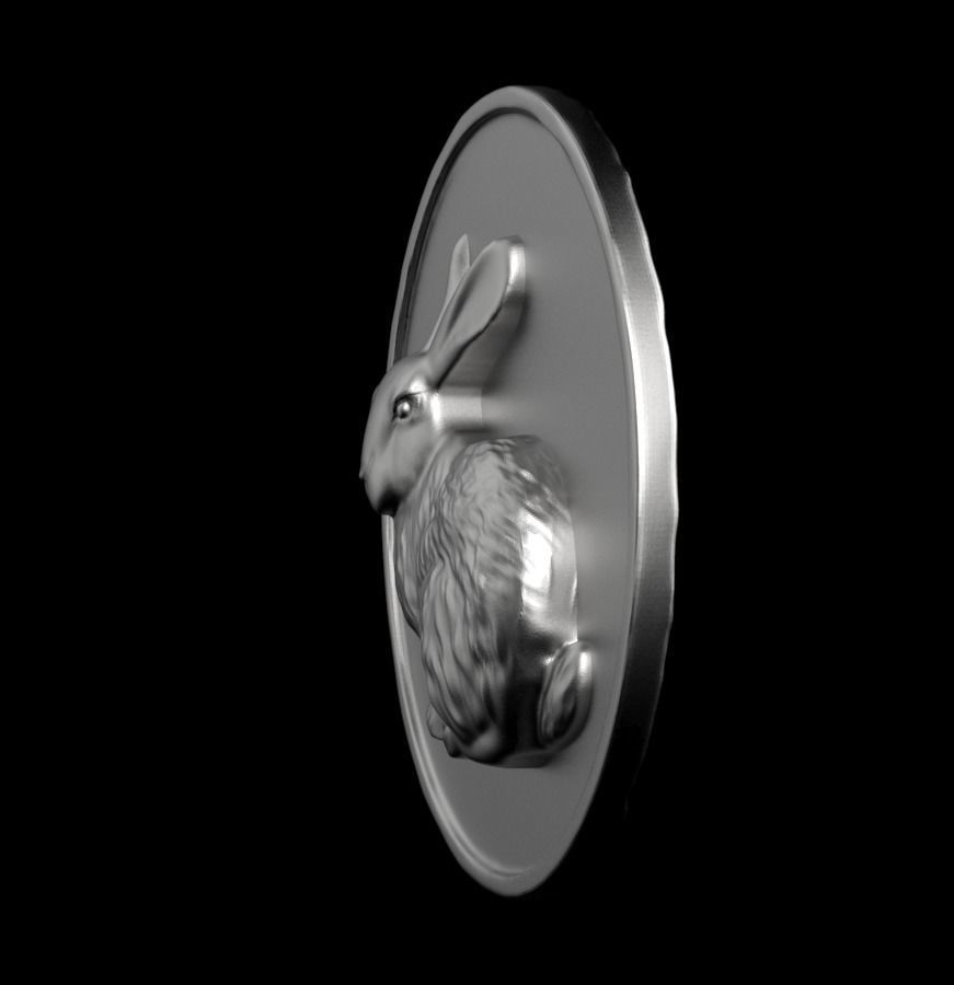 Chinese Zodiac Rabbit 003 3D print model_13