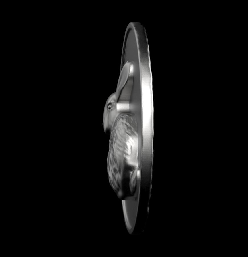 Chinese Zodiac Rabbit 003 3D print model_15