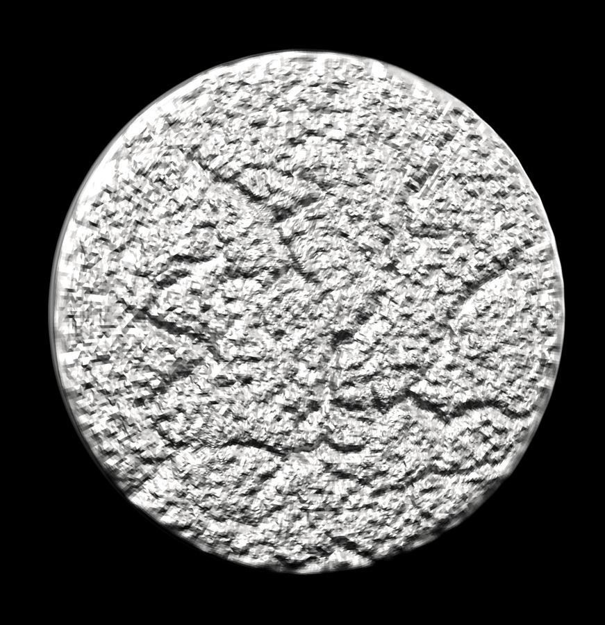 Chinese Zodiac Pig  003 3D print model_29