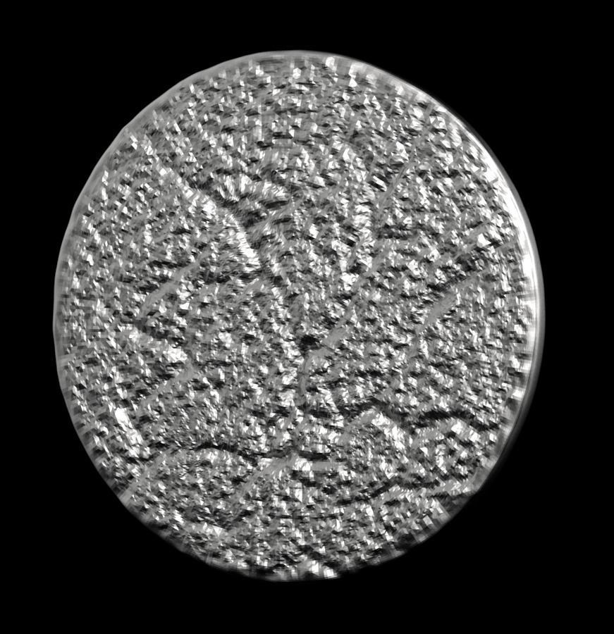 Chinese Zodiac Pig  003 3D print model_35