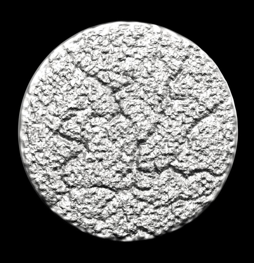 Chinese Zodiac Pig  003 3D print model_30