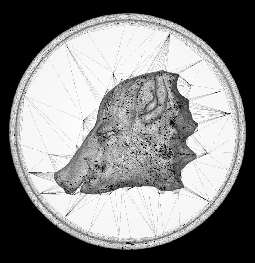 Chinese Zodiac Pig  003 3D print model_62