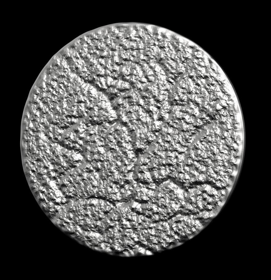 Chinese Zodiac Pig  003 3D print model_34