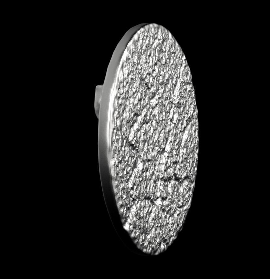 Chinese Zodiac Pig  003 3D print model_20