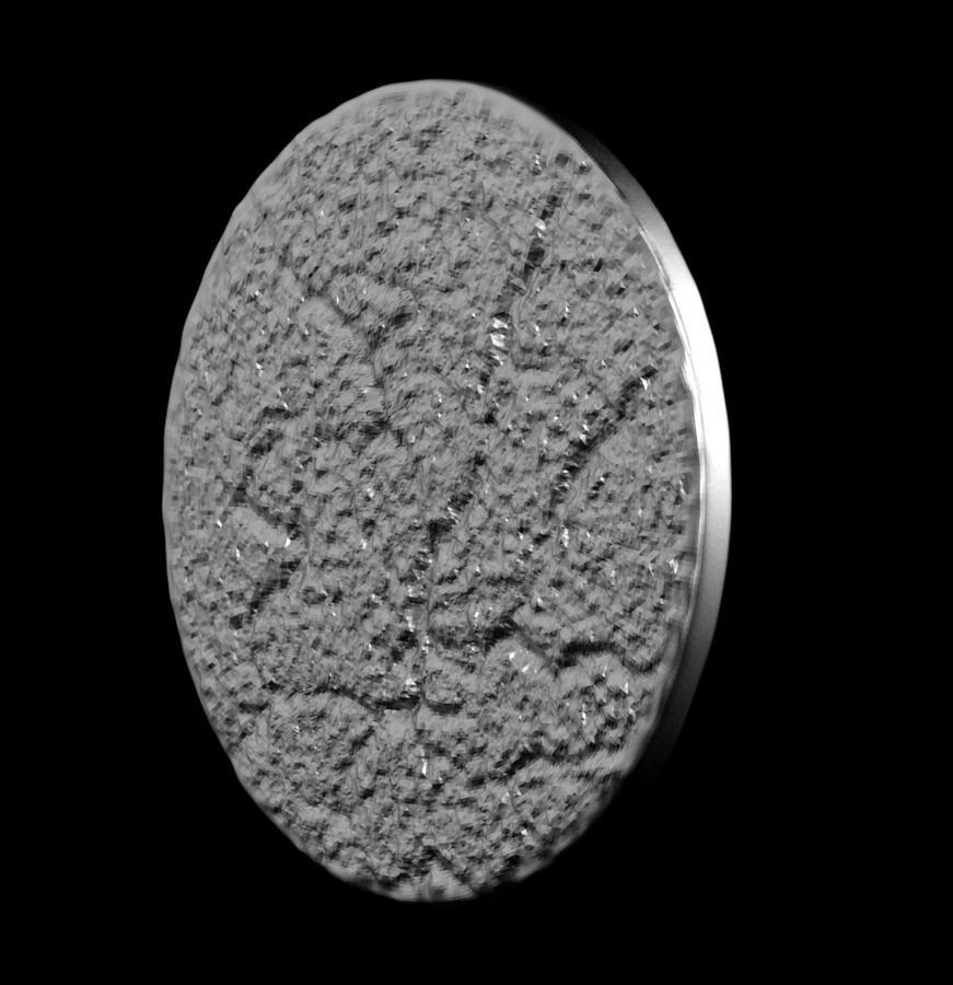 Chinese Zodiac Pig  003 3D print model_39