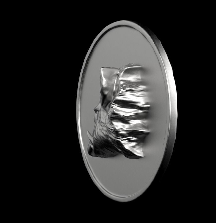 Chinese Zodiac Pig  003 3D print model_11