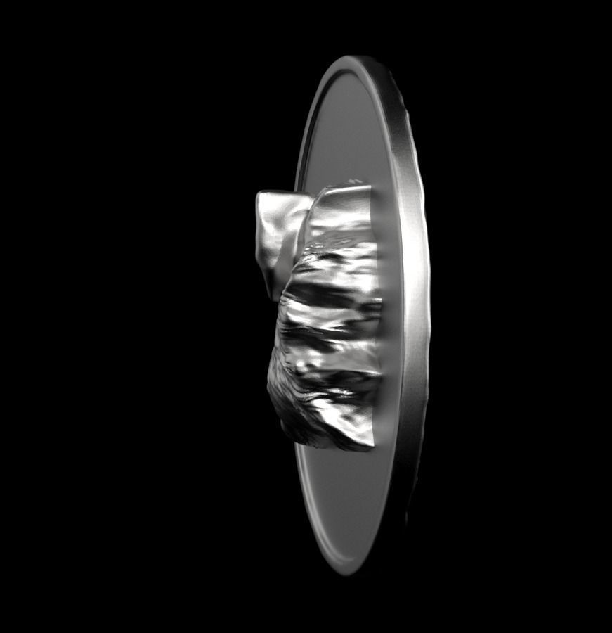 Chinese Zodiac Pig  003 3D print model_14