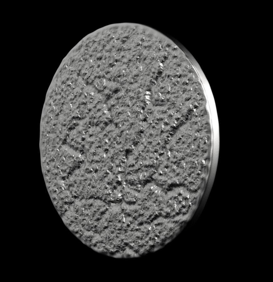 Chinese Zodiac Pig  003 3D print model_38