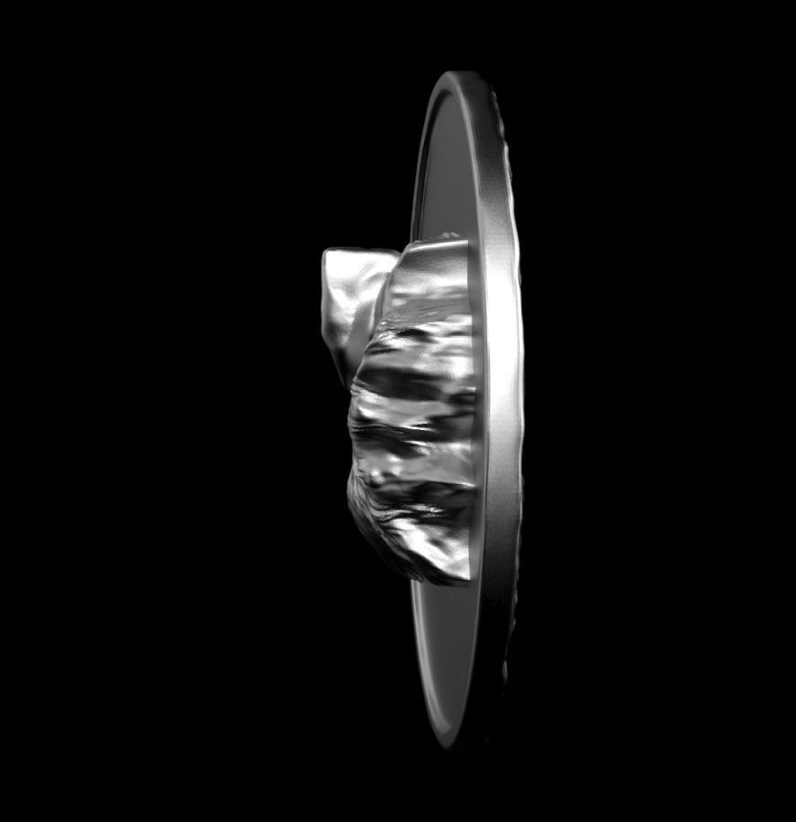 Chinese Zodiac Pig  003 3D print model_15