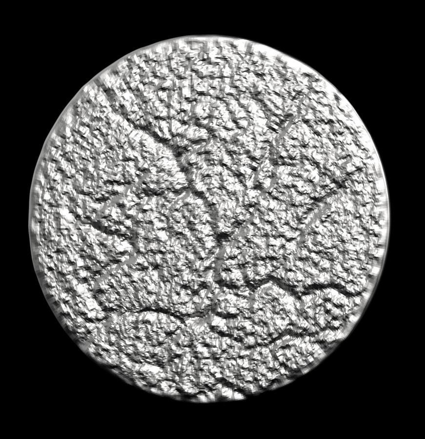 Chinese Zodiac Pig  003 3D print model_33