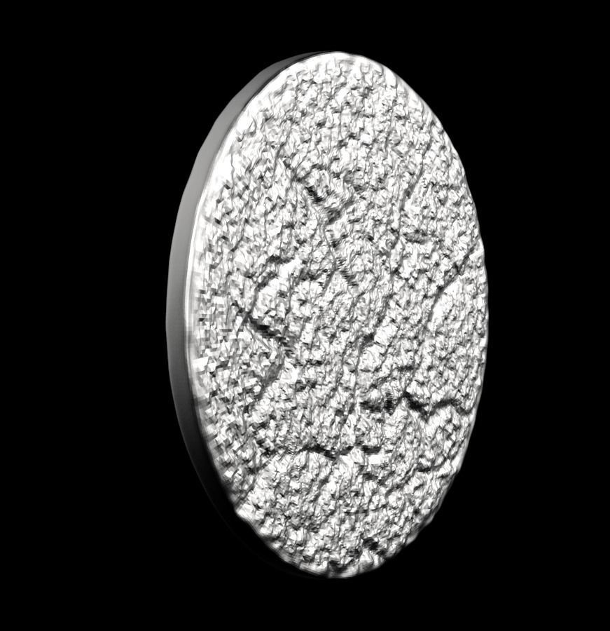 Chinese Zodiac Pig  003 3D print model_22