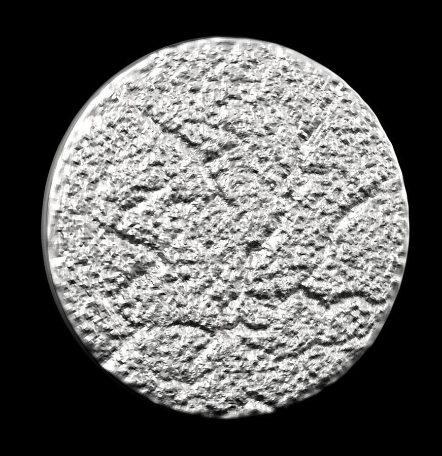 Chinese Zodiac Pig  003 3D print model_28