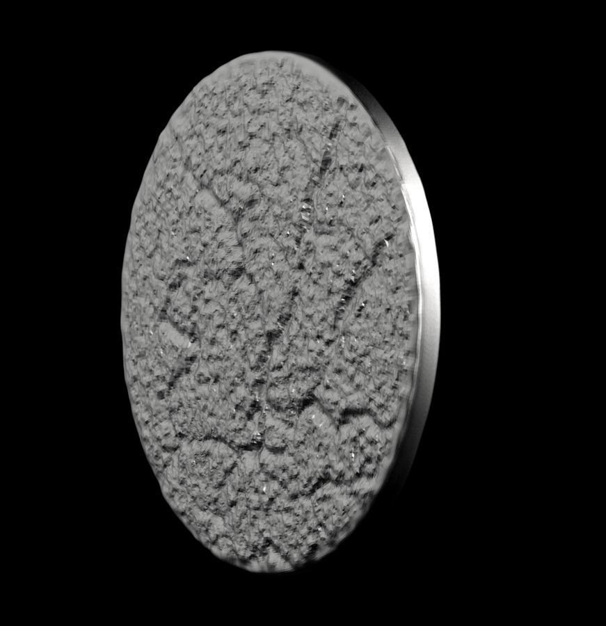 Chinese Zodiac Pig  003 3D print model_40