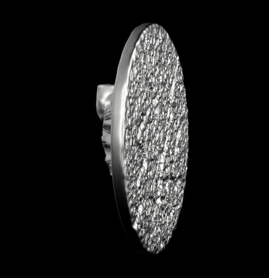 Chinese Zodiac Pig  003 3D print model_19