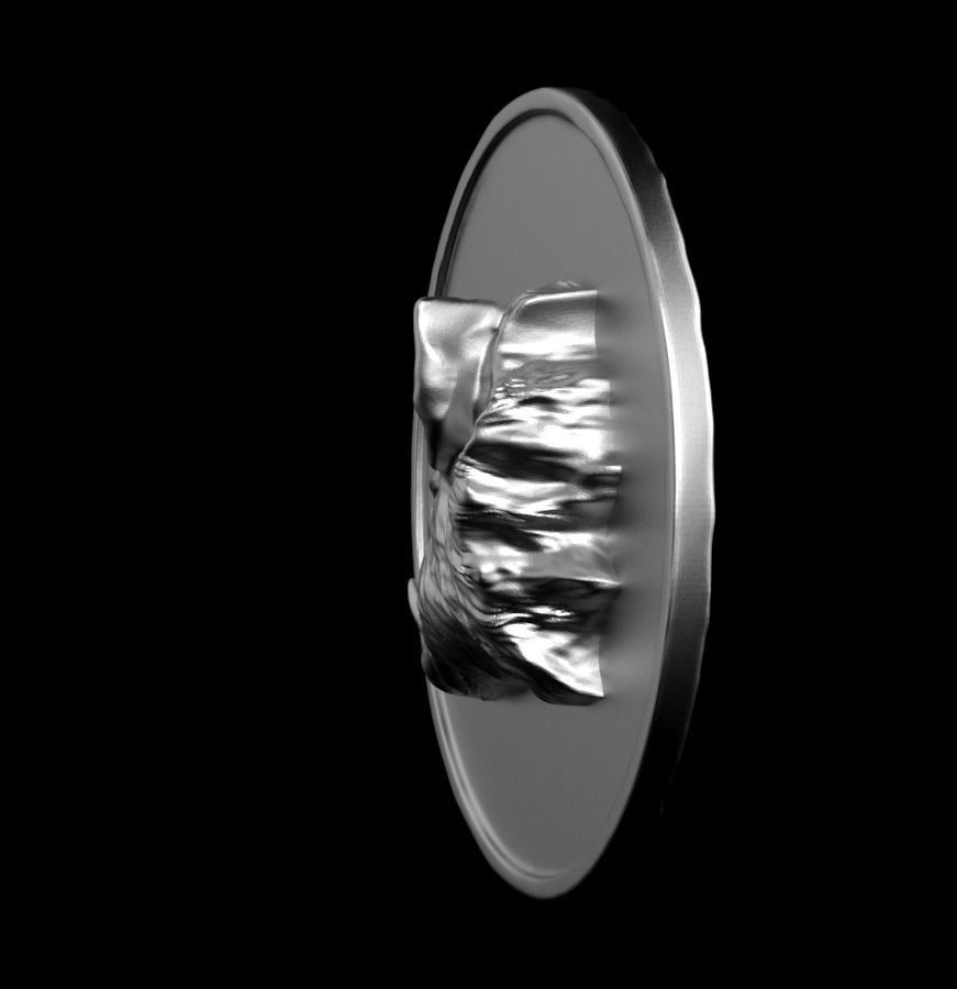 Chinese Zodiac Pig  003 3D print model_13