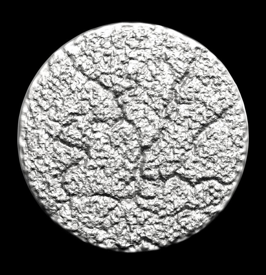 Chinese Zodiac Pig  003 3D print model_31