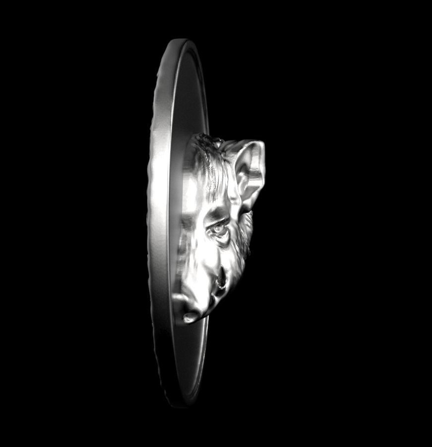 Chinese Zodiac Pig  003 3D print model_47