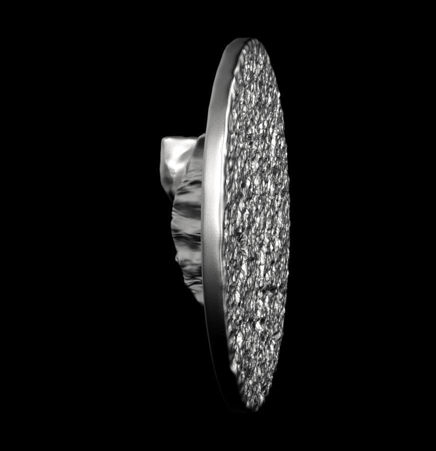 Chinese Zodiac Pig  003 3D print model_18