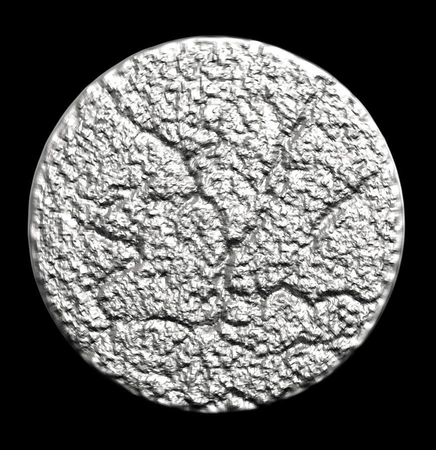 Chinese Zodiac Pig  003 3D print model_32