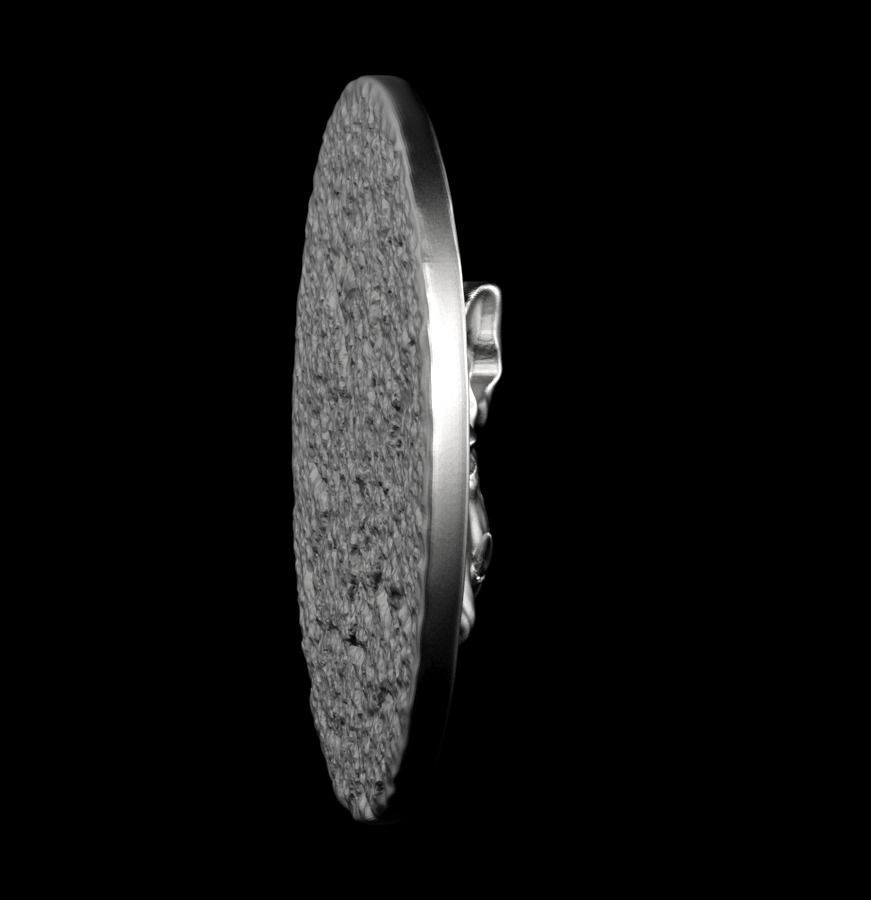 Chinese Zodiac Pig  003 3D print model_44