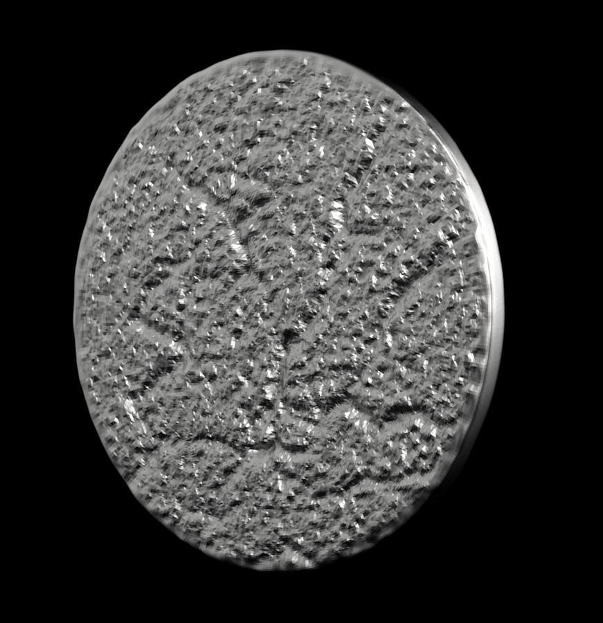 Chinese Zodiac Pig  003 3D print model_37