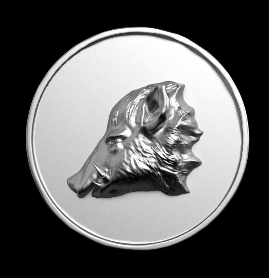 Chinese Zodiac Pig  003 3D print model_2